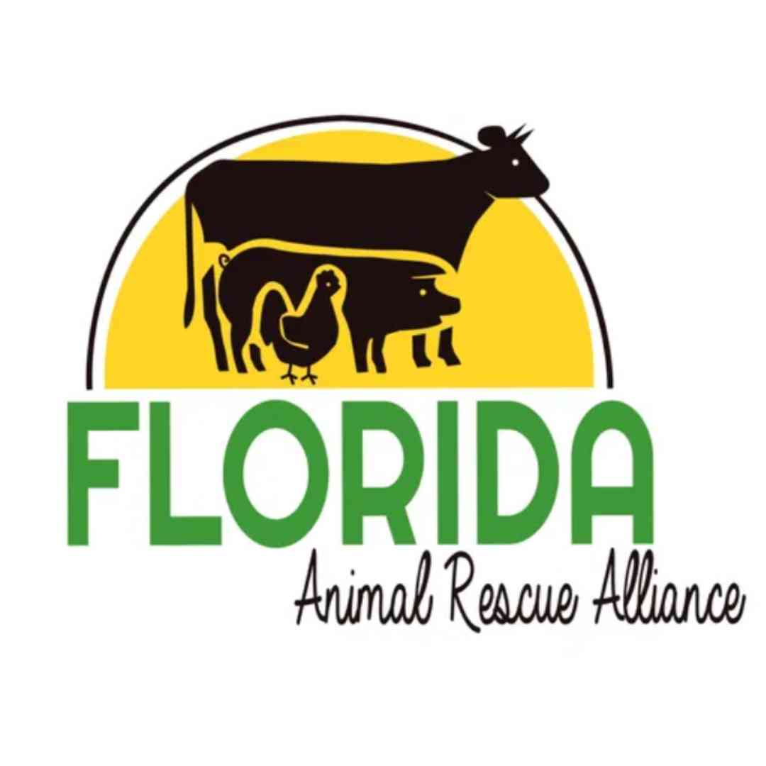 volunteer board member for the Florida Animal Rescue Alliance